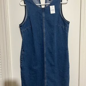 JCrew fitted denim dress size 6 brand new with tag